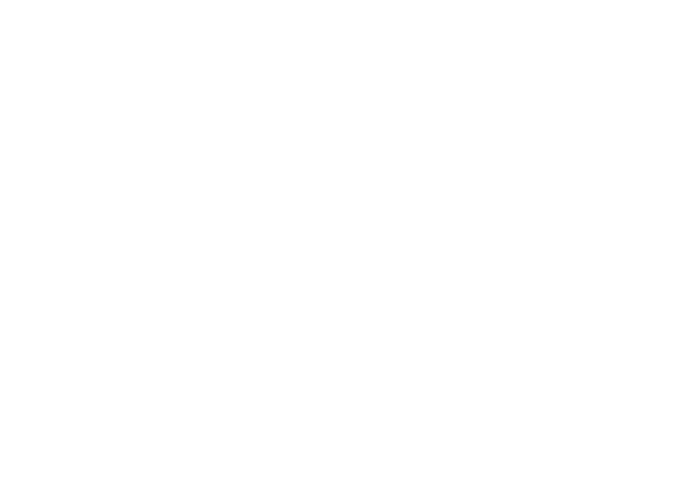 拉菲Chateau Lafite Rothschild(打开)