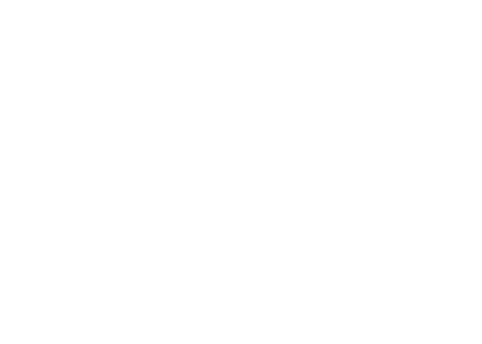武当王Chateau Mouton Rothschild(打开)